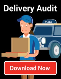 Delivery Audit: download now